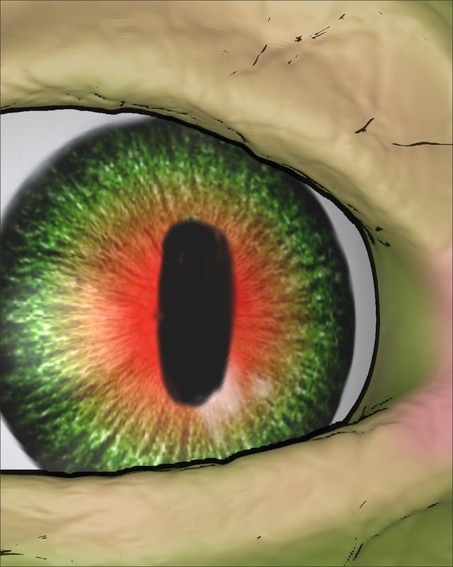 Ojo de la criatura